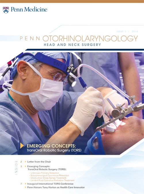 Cover of the 2013 Otorhinolaryngology Physician Newsletter